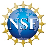 NSF Logo NSF Logo