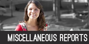 miscellaneous reports section header image